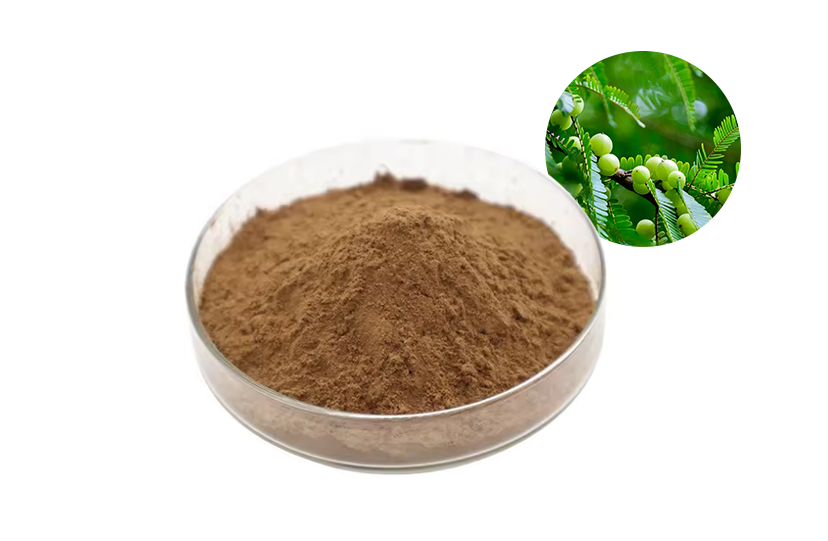 Amla Extract Powder